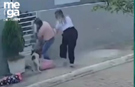 Pitbull ataca mulheres e crianças