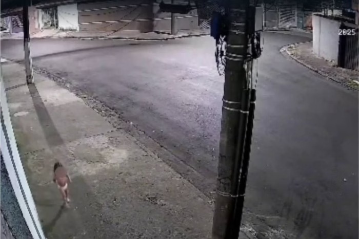 Criança de 3 anos perdida na rua enquanto mãe vai a festa
