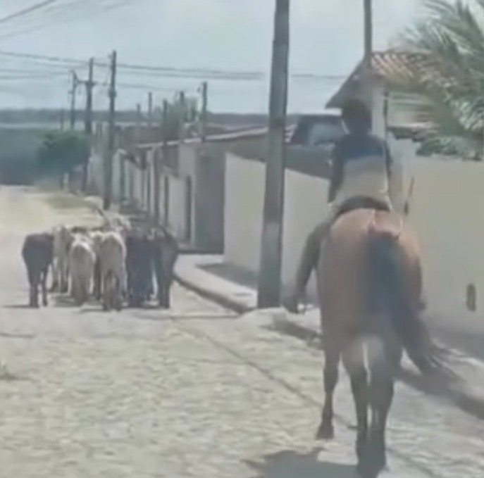 Trabalho infantil ou experiência de vida?