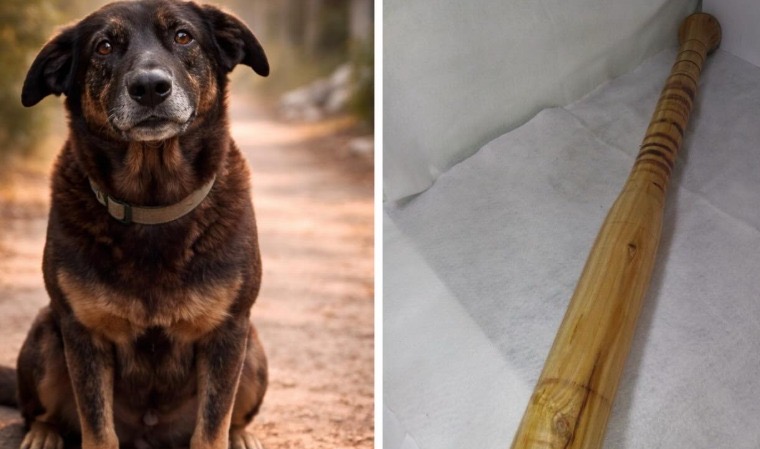 Laudo pericial aponta que adolescentes introduziram um pedaço de madeira em Orelha