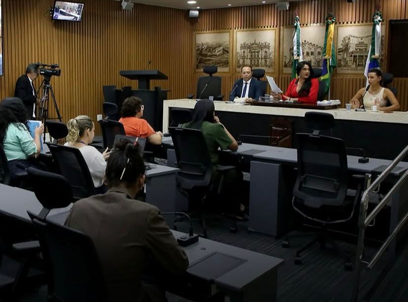 14 projetos de lei são aprovados na comissão de defesa dos direitos humanos