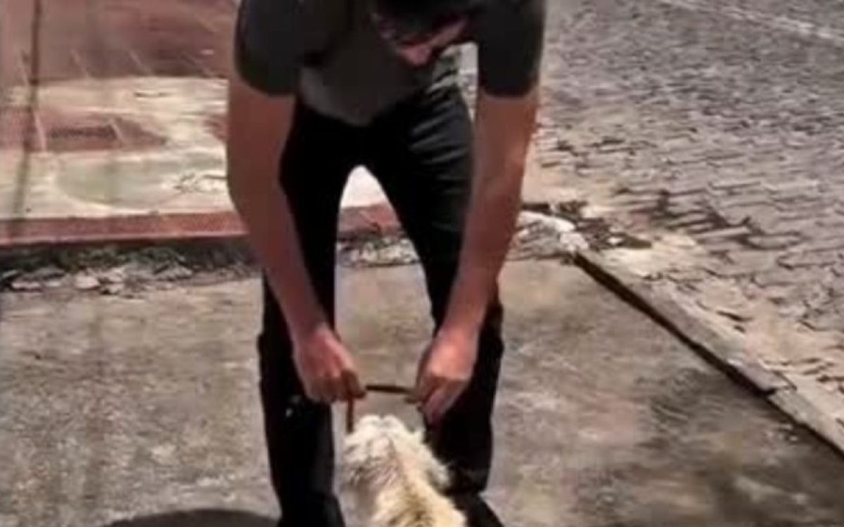 Rafael Motta auxilia resgate de cachorro em Lagoa Azul