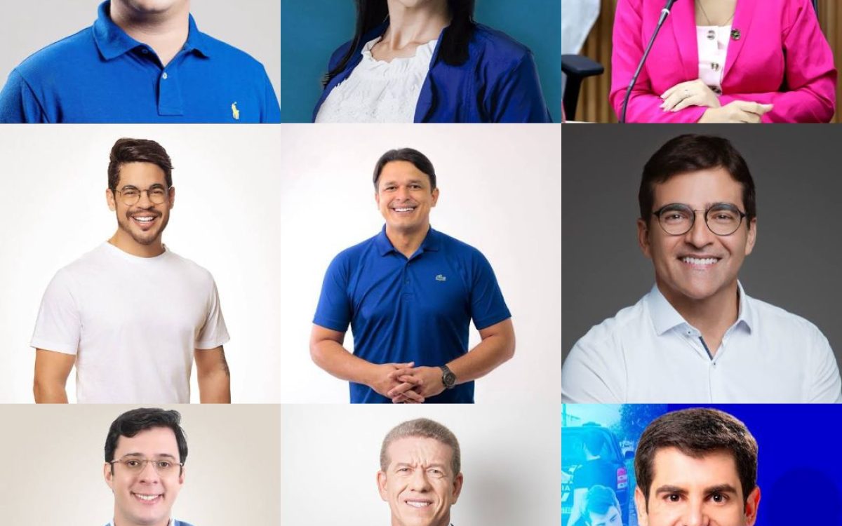 Confira vereadores que já se posicionaram a favor da cassação de Brisa