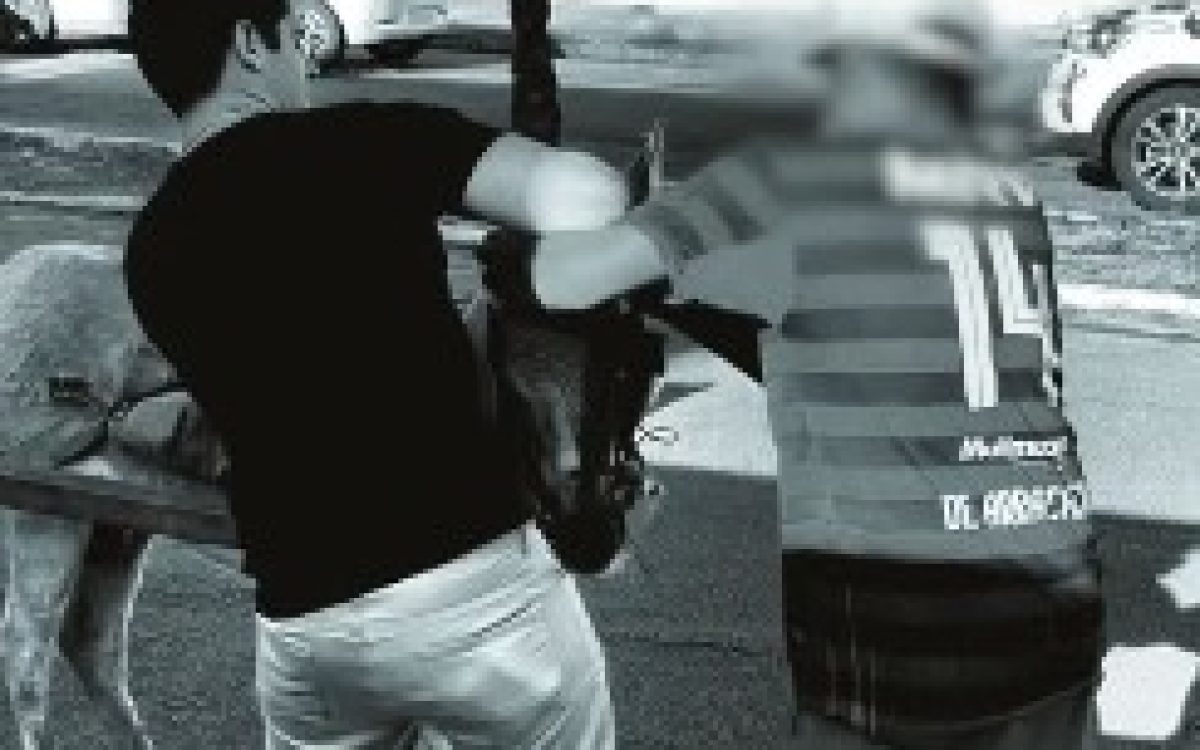 Robson Carvalho resgata animal em maus-tratos aciona fiscalização