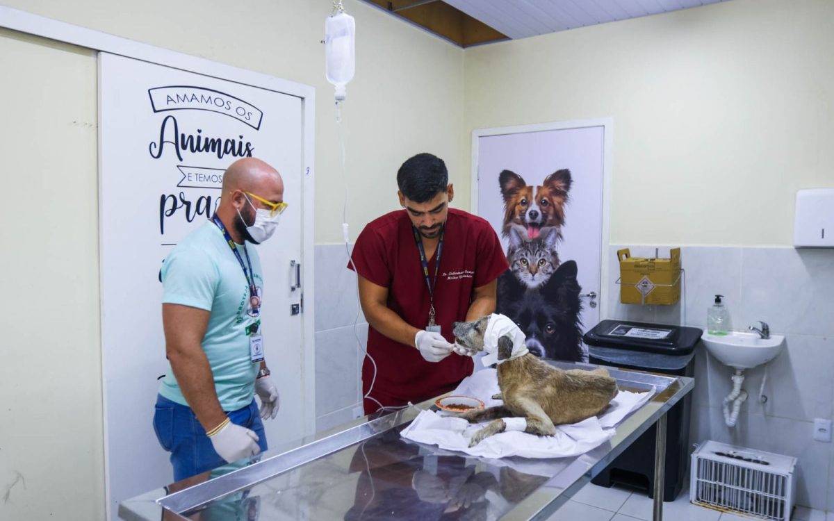 Parnamirim promove 1º mutirão de Raio-X neste sábado