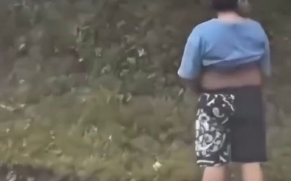 Menino sai do carro para urinar e vê pais morr3r3m esm4gad0s por caminhão