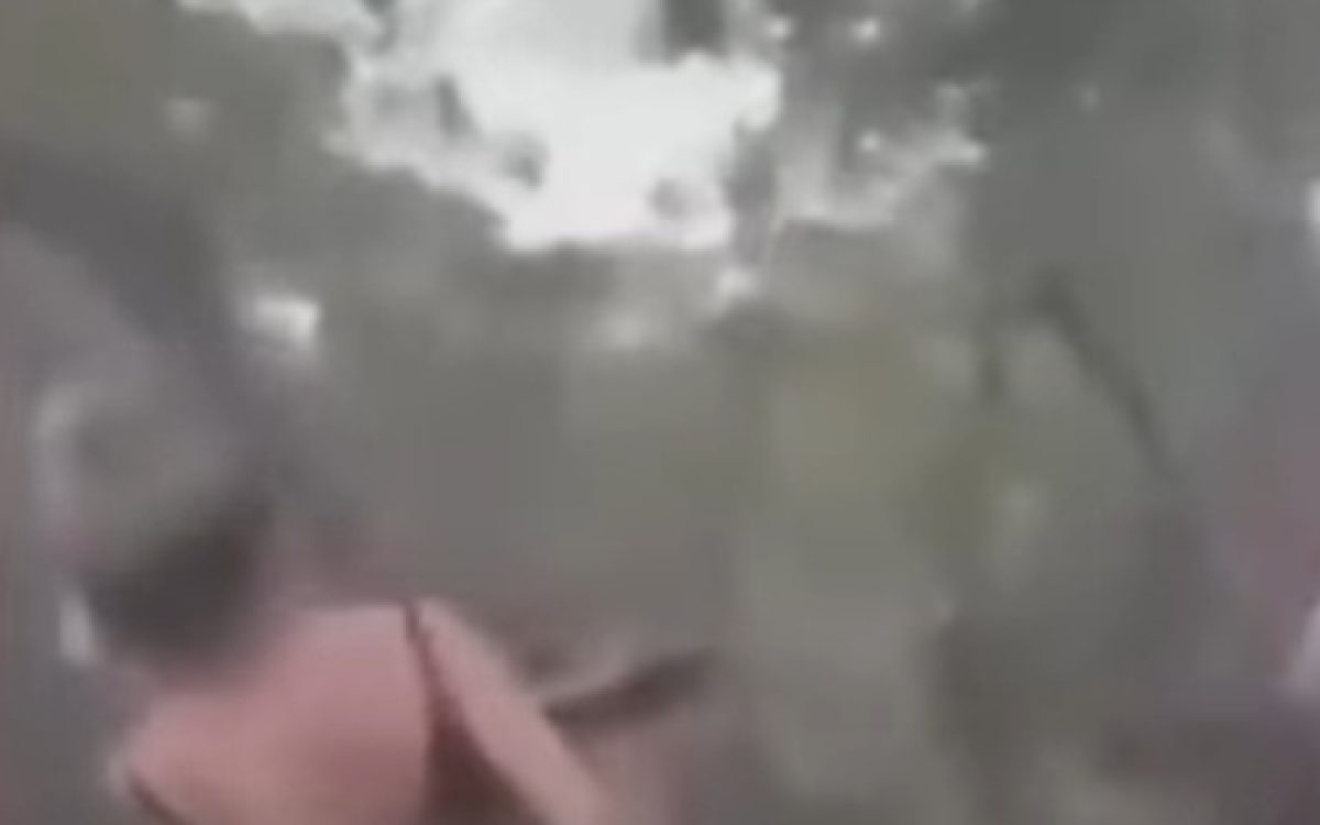 Ibama procura mulher que matou Onça-Parda com espingarda