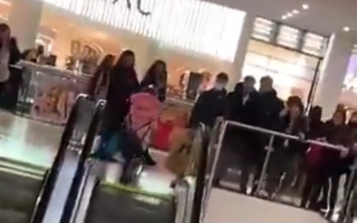 Criança encrenqueira viraliza ao sair no puxão de de cabelo com mulher adulta e ainda sair por cima