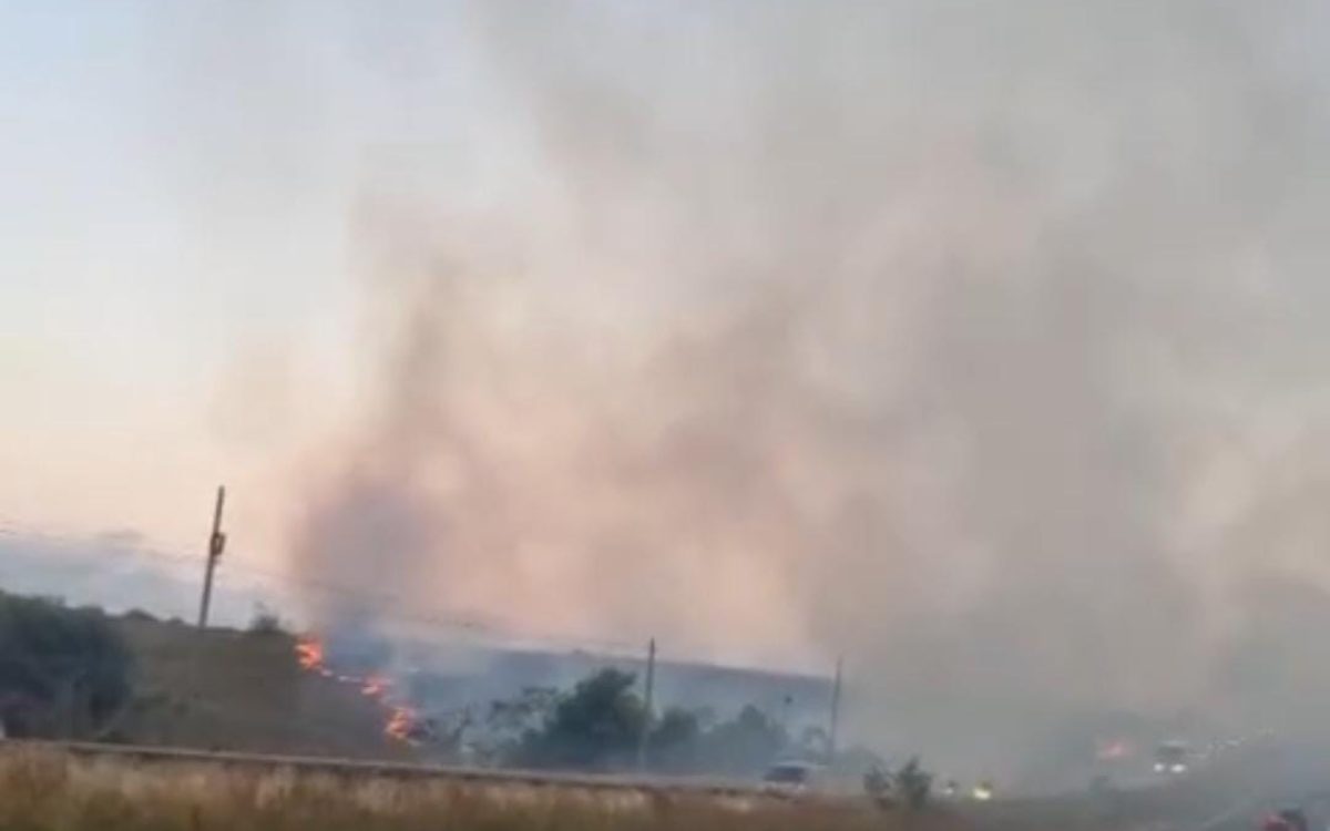 Incêndio atinge canavial às margens da BR-101