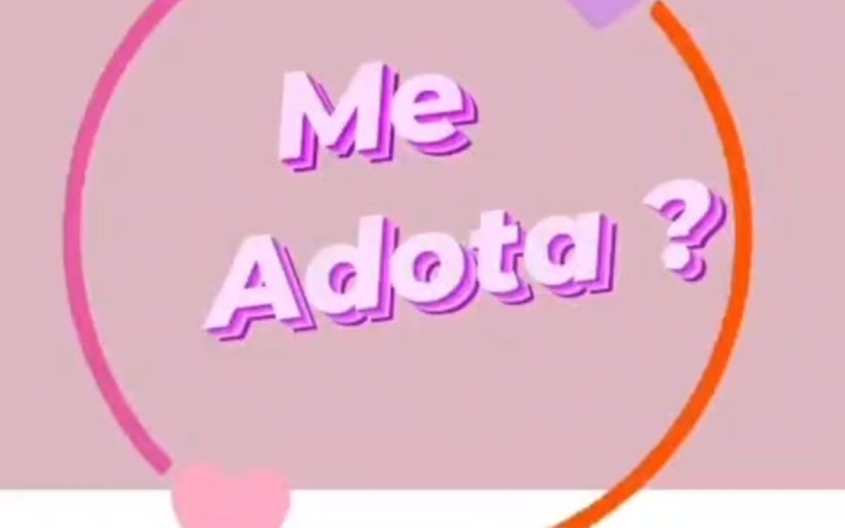 Projeto Segunda Chance ZN reforça campanha de adoção de gatos em Natal