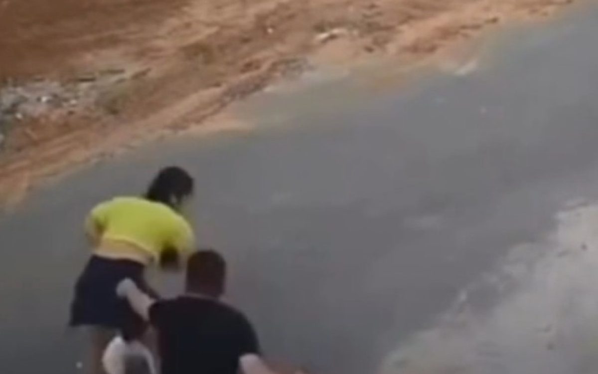 Mulher luta contra pitbull e é agredida pelo tutor