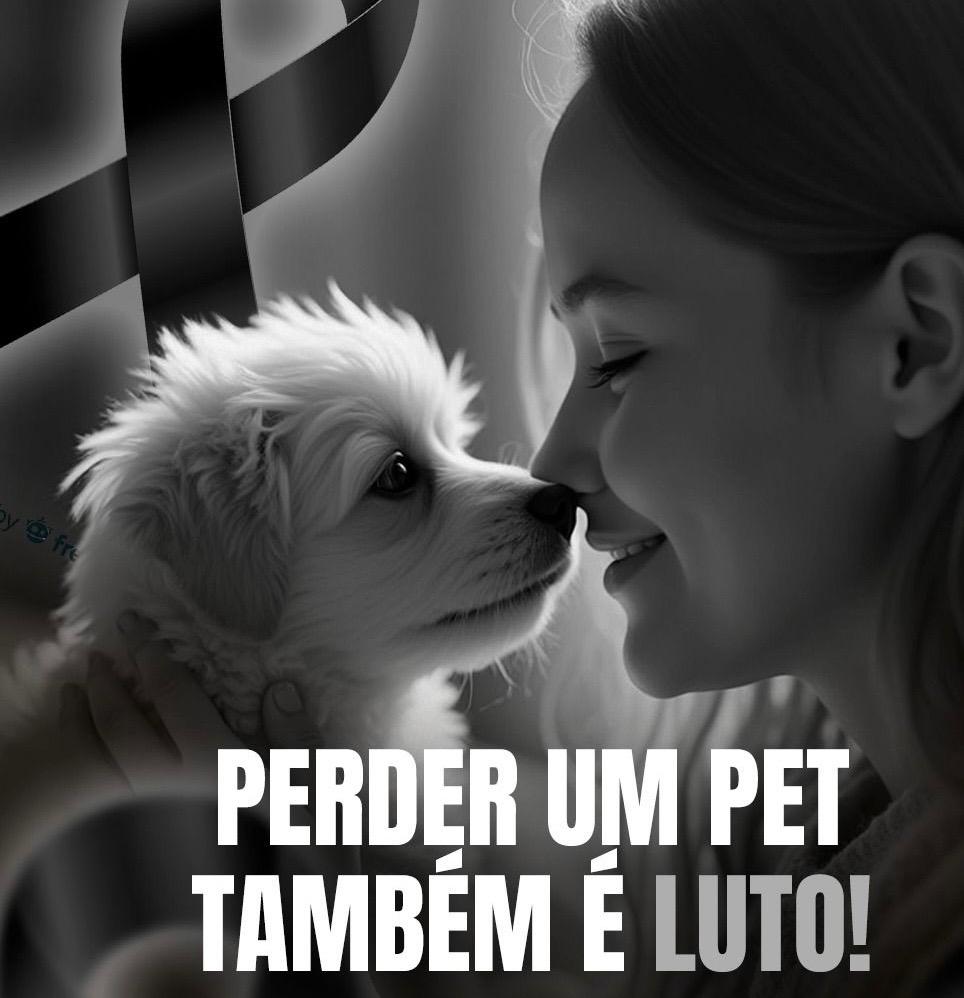 Robson Carvalho reconhece Luto PET