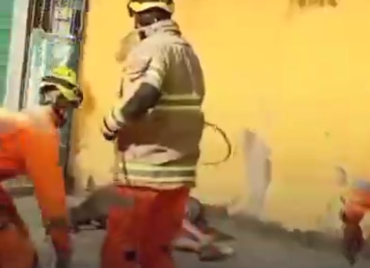 Idosa de 74 anos e atacada por pitbull e contém o animal pelas pernas até a chegada dos bombeiros