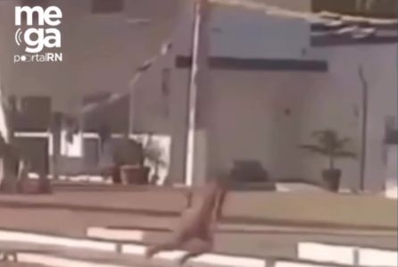 Homem é morto a facadas após discussão