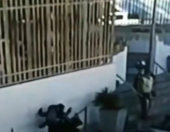Cachorro reage a ataque com facão e salva homem de agressão em Pau dos Ferros