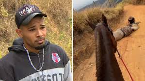 Homem que multilou cavalo com facão diz que não é monstro