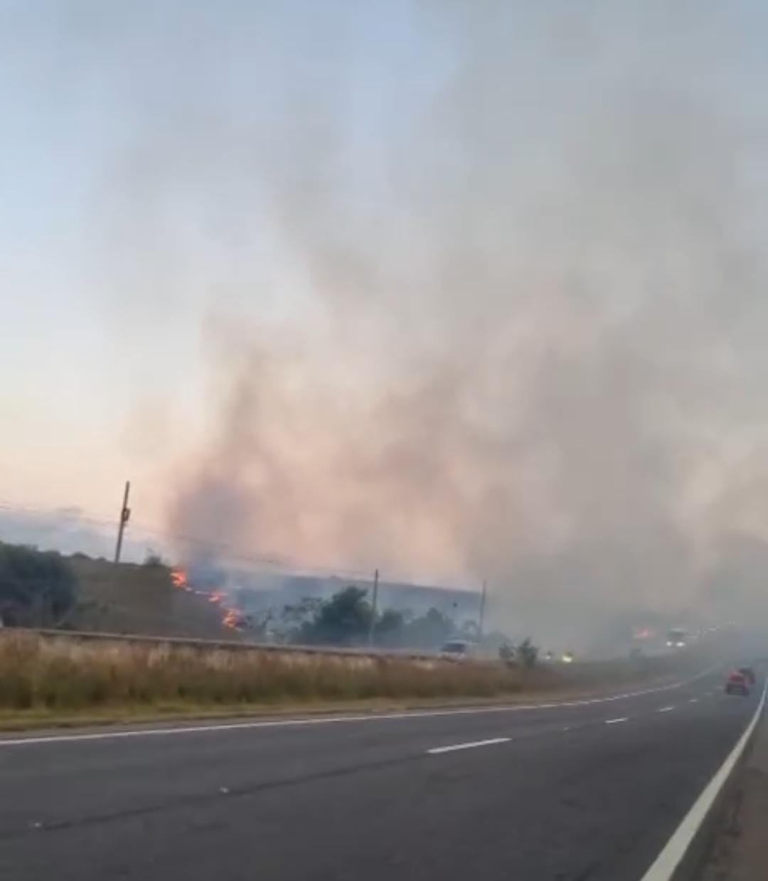 Incêndio atinge canavial às margens da BR-101