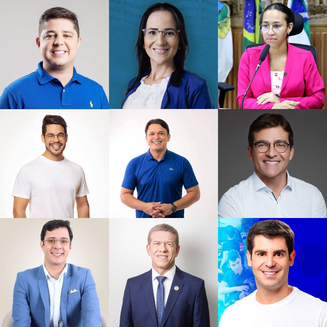 Confira vereadores que já se posicionaram a favor da cassação de Brisa