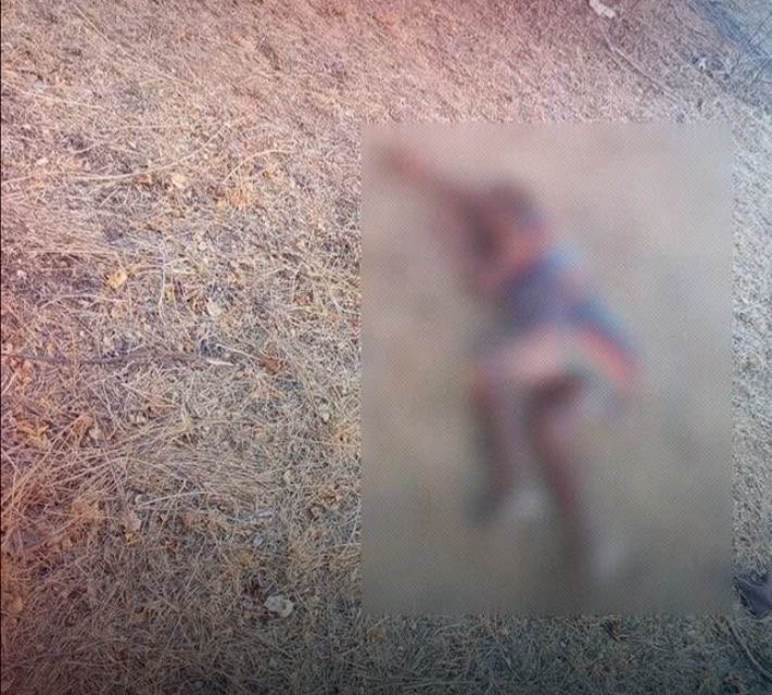 Idosa desaparecida é encontrada morta em área de vegetação