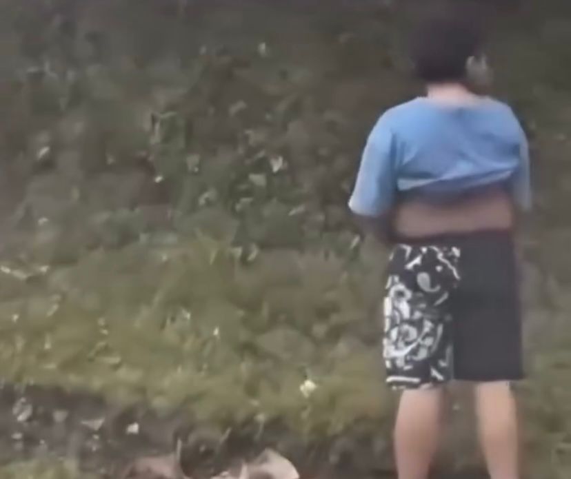 Menino sai do carro para urinar e vê pais morr3r3m esm4gad0s por caminhão