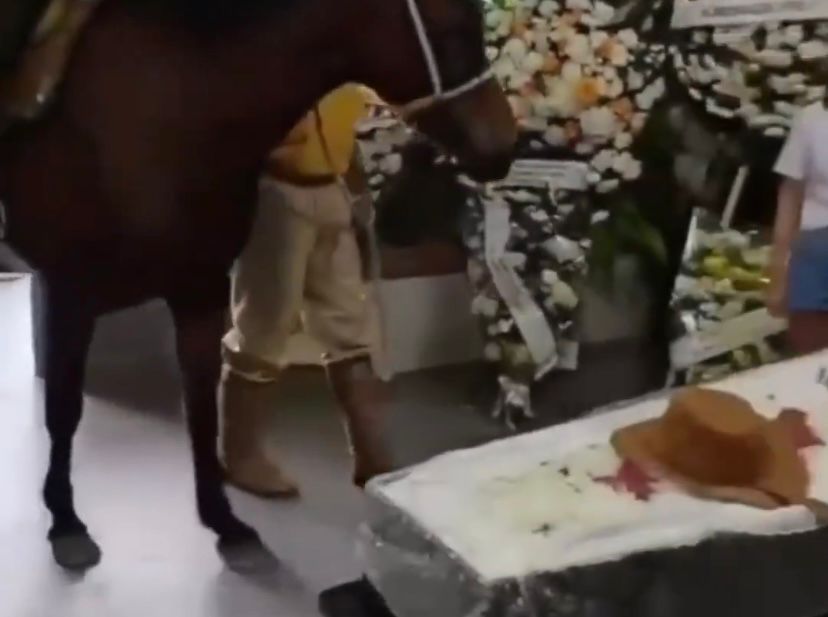 Égua relincha e emociona familiares durante velório do dono