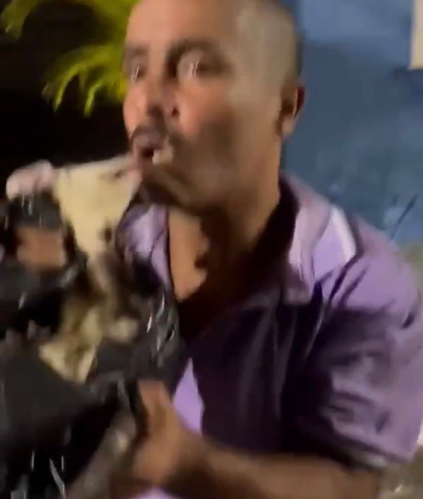 Homem é mordido por saruê após tentar colocar animal na boca em “brincadeira”