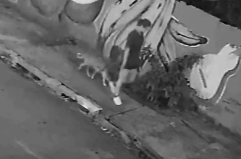 Mulher cai em bueiro após tampa ceder