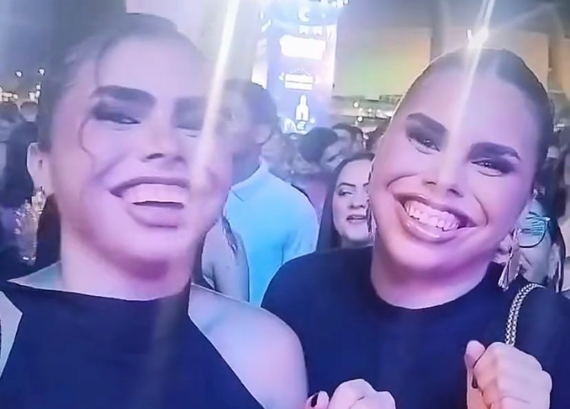 As gêmeas da animação