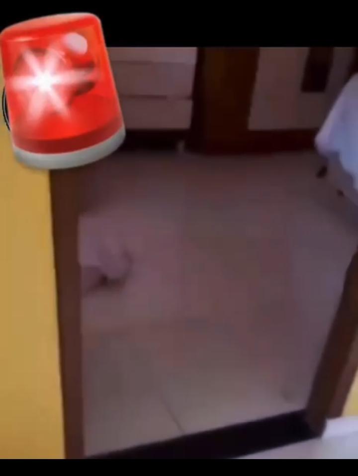Mulher grávida flagra marido com amante
