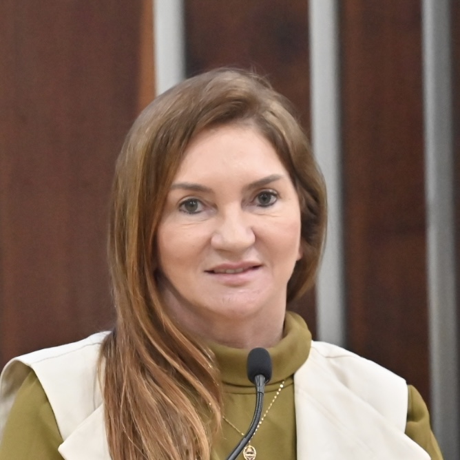 Com apoio de Terezinha Maia, ALRN aprova projetos parlamentares e de iniciativa dos poderes
