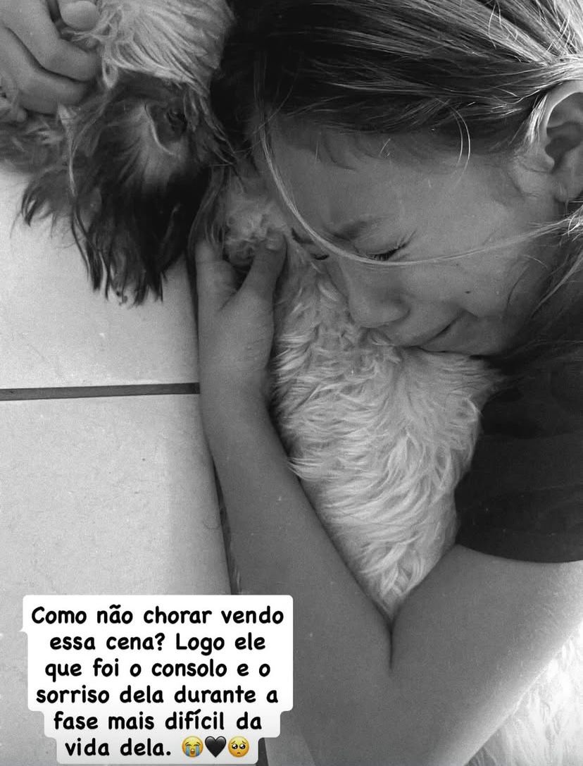 Cachorrinho morr3 durante comemoração da vitória do Brasil após se assustar com fogos no RN