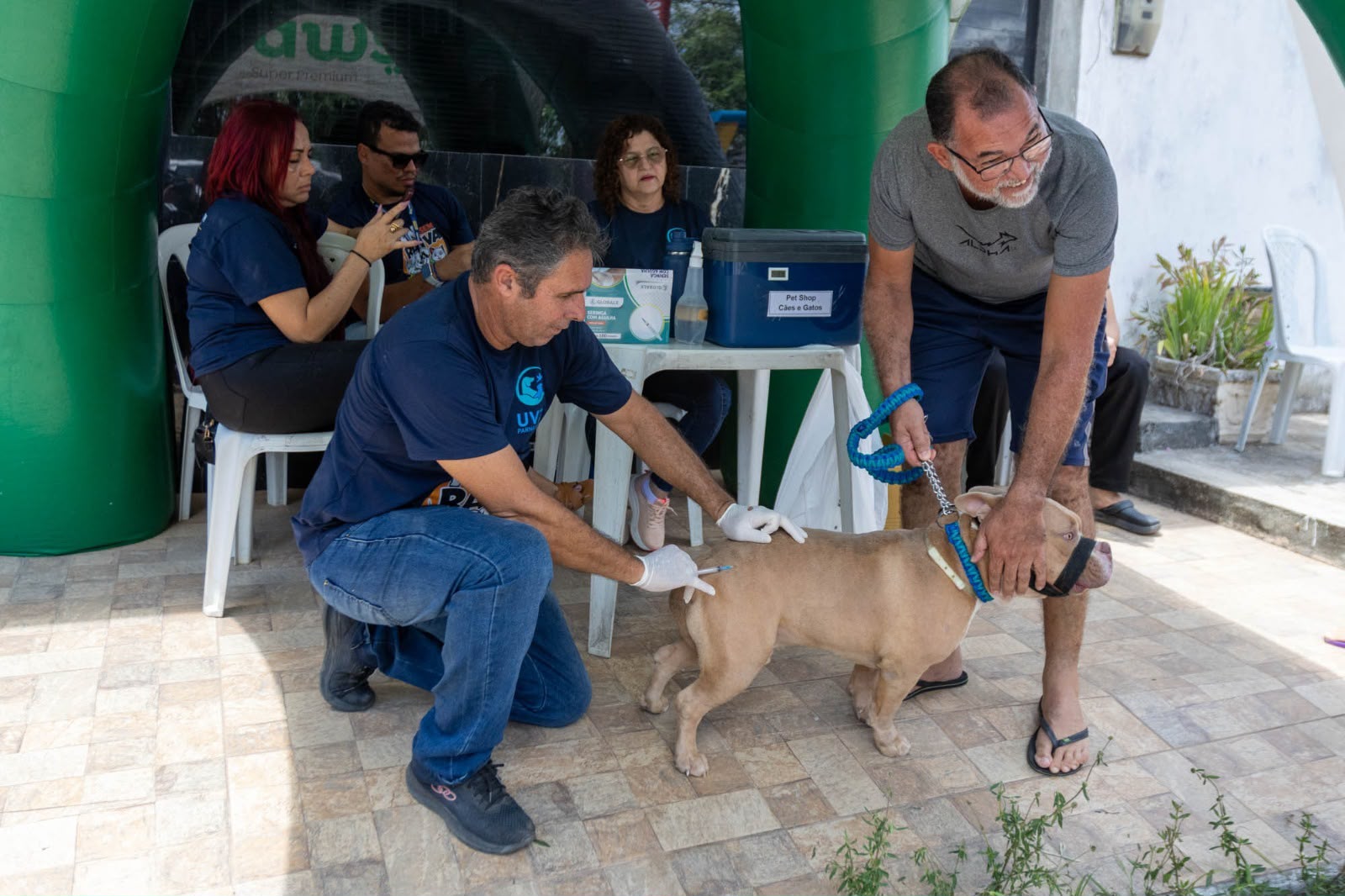 Pré-campanha de vacinação antirrábica segue em Parnamirim