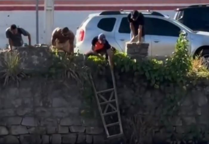 Gatinho é resgatado com vida do Rio Jundiaí, em Macaíba
