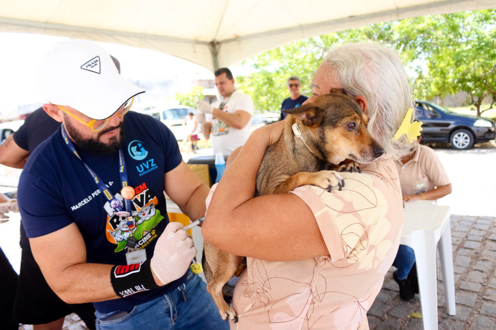 Parnamirim avança na vacinação antirrábica com imunização de mais 1.331 animais no último sábado