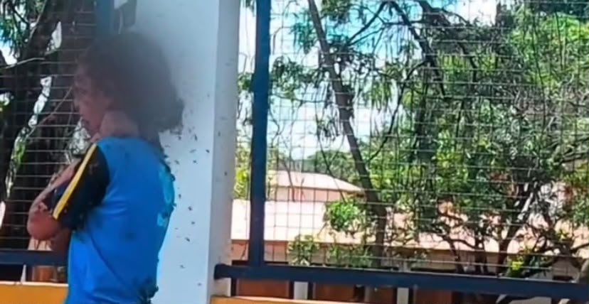 Homem é picado mais de 40 vezes ao tentar salvar criança de ataque de abelhas