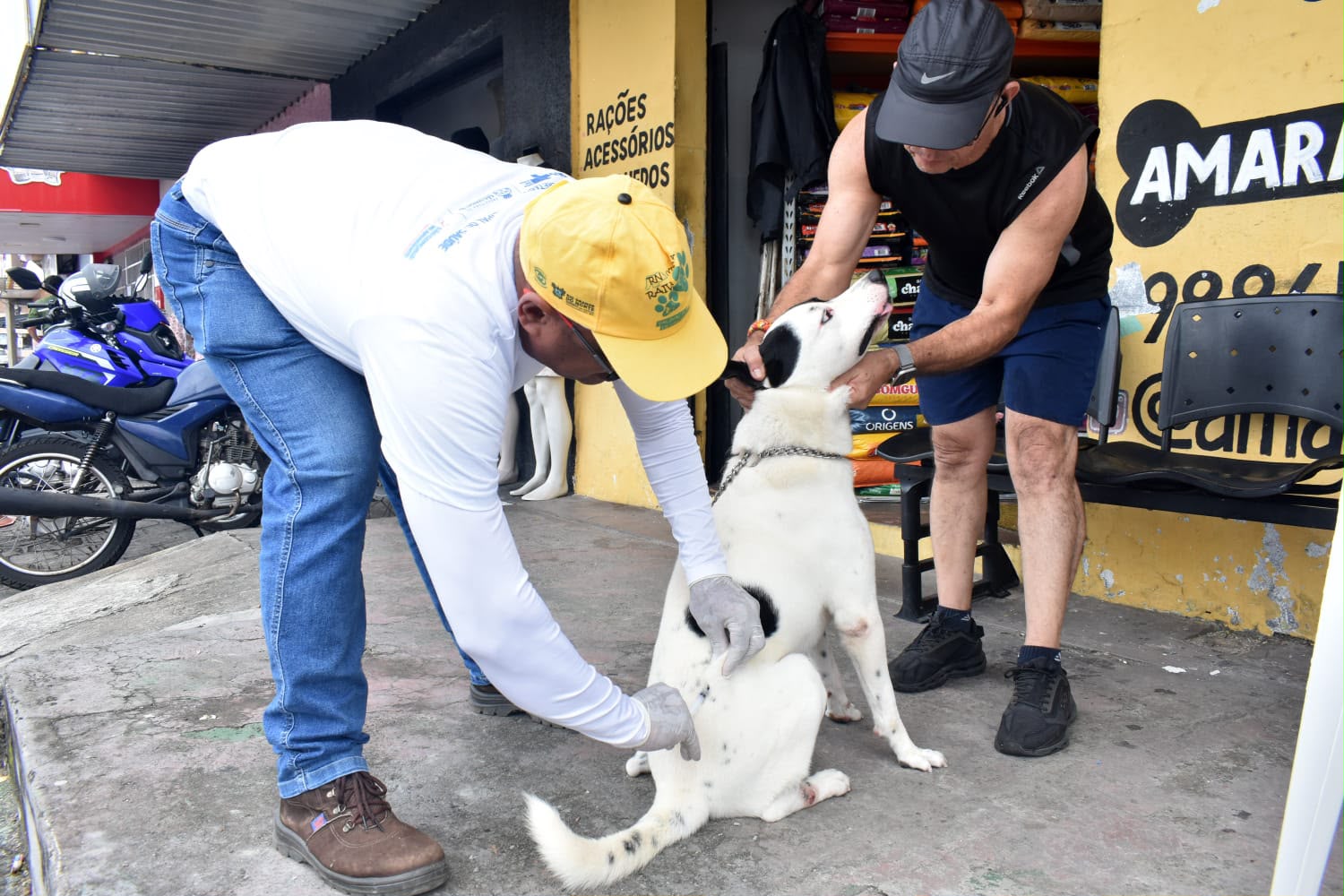 São Gonçalo realiza Dia D da Campanha Nacional de Vacinação Antirrábica neste sábado (26)