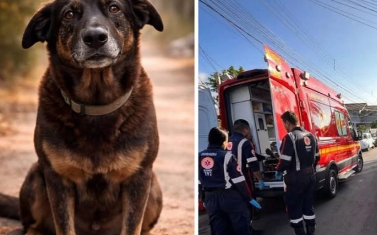 Morre um dos envolvidos na morte de Orelha