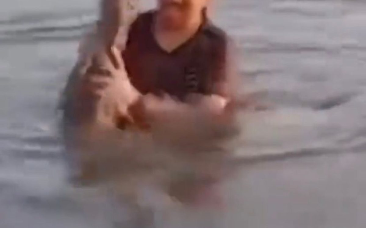 Mulher confunde jacaré com pedaço de tronco e pega animal no colo dentro de lagoa