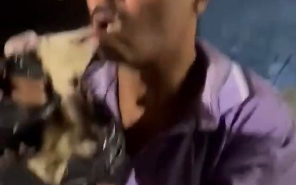 Homem é mordido por saruê após tentar colocar animal na boca em “brincadeira”