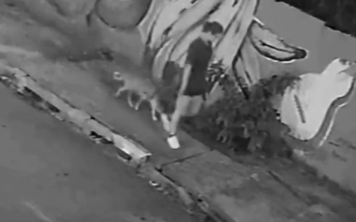 Mulher cai em bueiro após tampa ceder