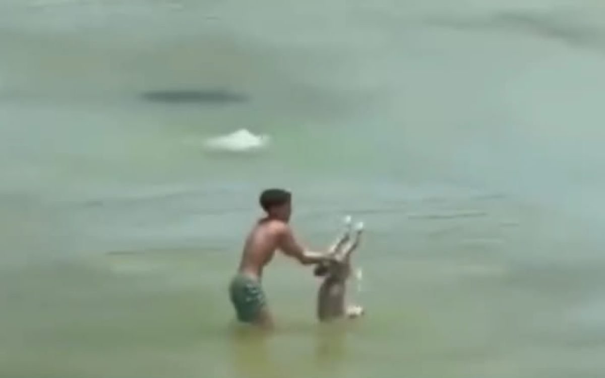 Criança tenta af0g@r cachorrinho na praia
