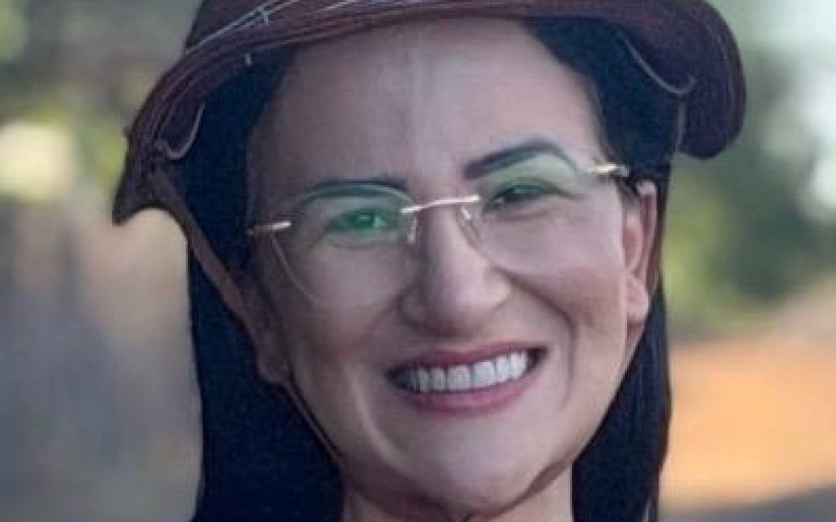 Camila Araújo agradece cidades que teve as maiores votação