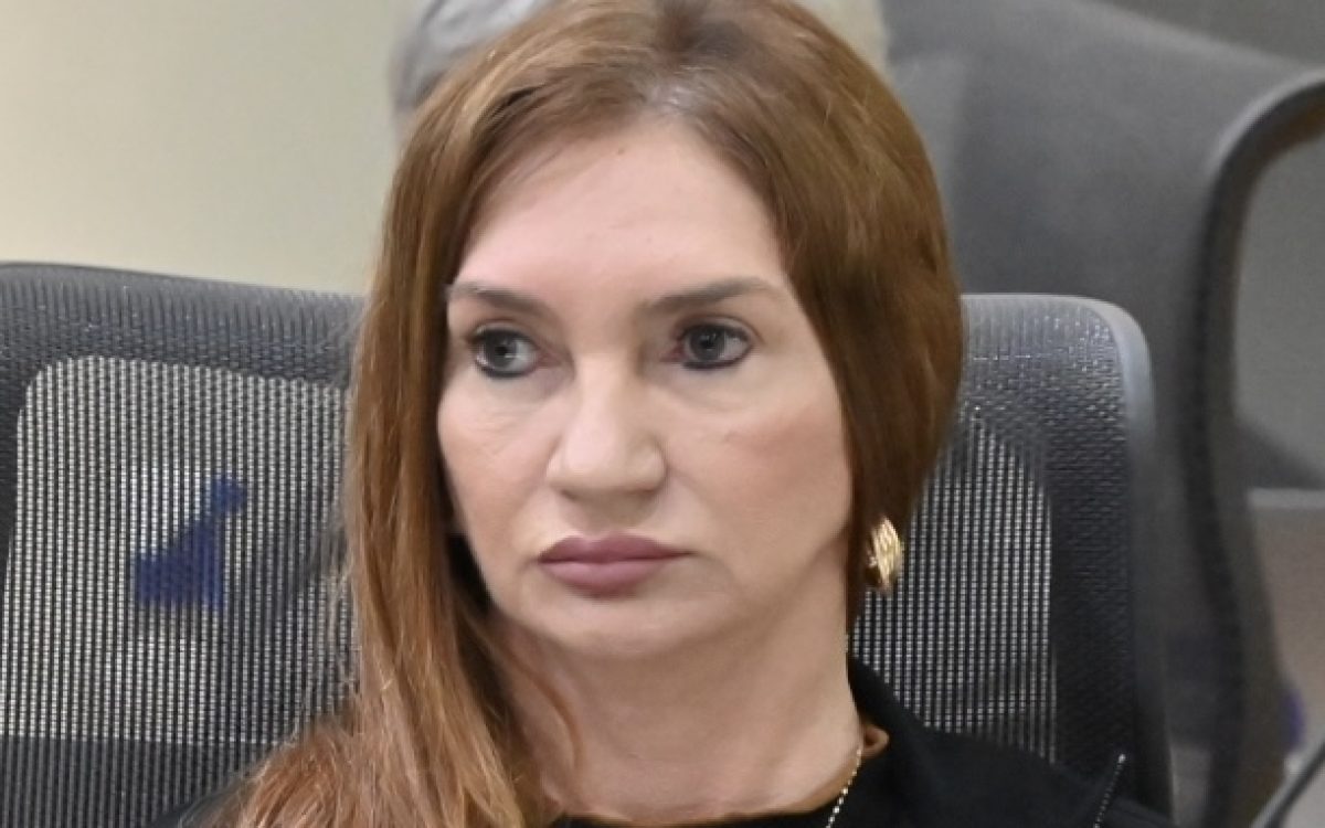 Deputada Terezinha Maia vota por derrubada de veto do Governo, e aprova auxílio a terceirizados e Lei Lucy